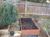 raised bed2 15Feb04.jpg (103826 bytes)